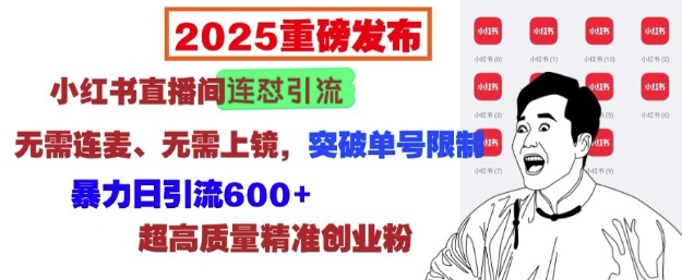 2025重磅发布：小红书直播间连怼引流，无需连麦、无需上镜，突破单号限制，暴力日引流600+-58创网