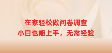 在家轻松做问卷调查，小白也能上手，无需经验-58创网