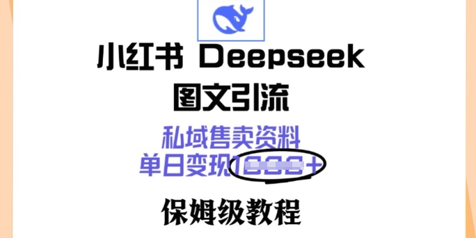 小红书Deepseek图文引流，私域售卖资料，单日变现多张，保姆级教程-58创网