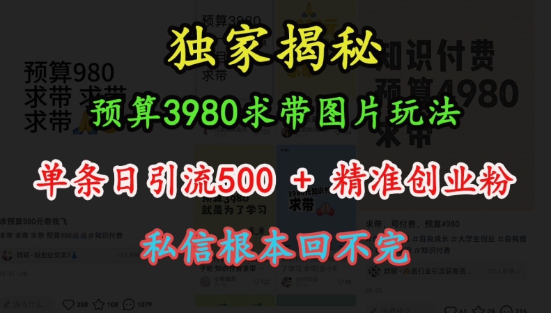 预算3980求带 图片玩法，单条日引流500+精准创业粉，私信根本回不完-58创网