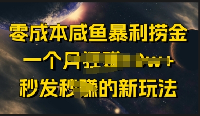 零成本咸鱼暴利捞金，一个月收益过w+，秒发新玩法-58创网