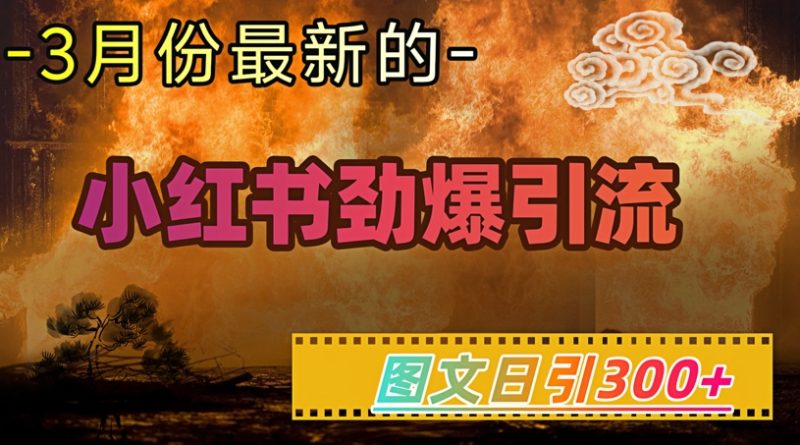小红书超劲爆引流手段，图文日引300+轻松变现1W-58创网