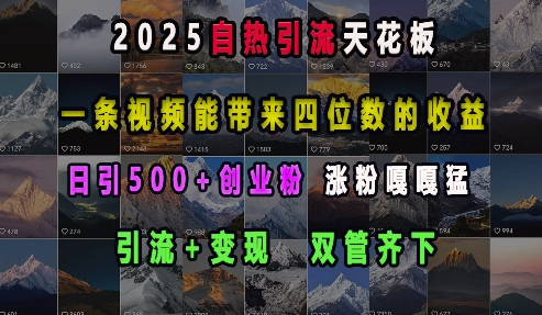 2025自热引流天花板，一条视频能带来四位数的收益，引流+变现双管齐下，日引500+创业粉，涨粉嘎嘎猛-58创网