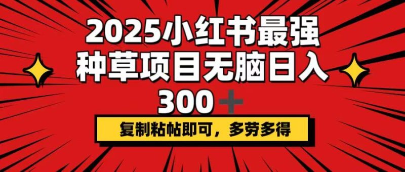 2025小红书最强种草项目，无脑日入300+，复制粘帖即可，多劳多得-58创网