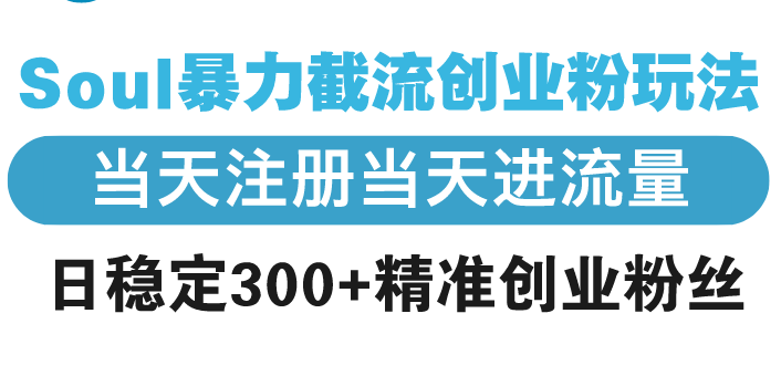 Soul暴力截流创业粉玩法，当天注册当天进流量，日稳定300+精准创业粉丝-58创网