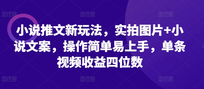 小说推文新玩法，实拍图片+小说文案，操作简单易上手，单条视频收益四位数-58创网