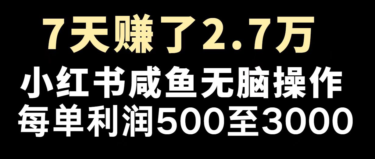 最赚钱项目之一，2025爆火，逆风翻盘！-58创网