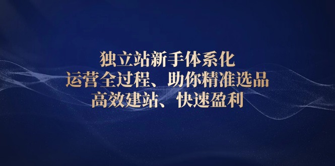 独立站新手体系化 运营全过程，助你精准选品、高效建站、快速盈利-58创网