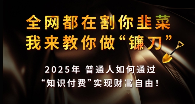 全网都在割你韭菜，我来教你做镰刀，2025年普通人如何通过 知识付费 实现财F自由【揭秘】-58创网