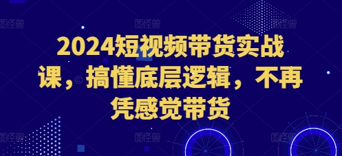 2024短视频带货实战课，搞懂底层逻辑，不再凭感觉带货-58创网