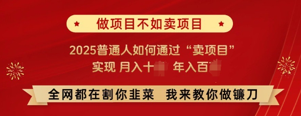 必看，做项目不如卖项目，2025普通人如何通过“卖项目”实现月入十个，年入百个-58创网