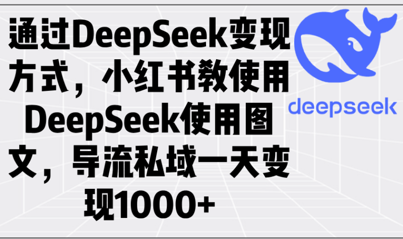 通过DeepSeek变现方式，小红书教使用DeepSeek图文，导流私域一天变现1000+-58创网