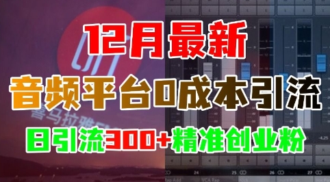 12月最新：音频平台0成本引流，日引流300+精准创业粉-58创网