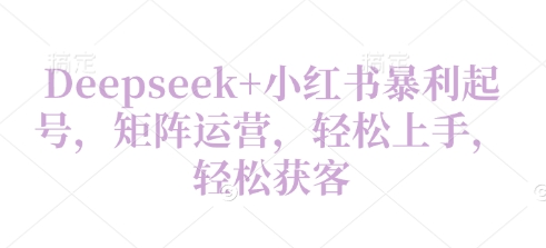 Deepseek+小红书暴利起号，矩阵运营，轻松上手，轻松获客-58创网