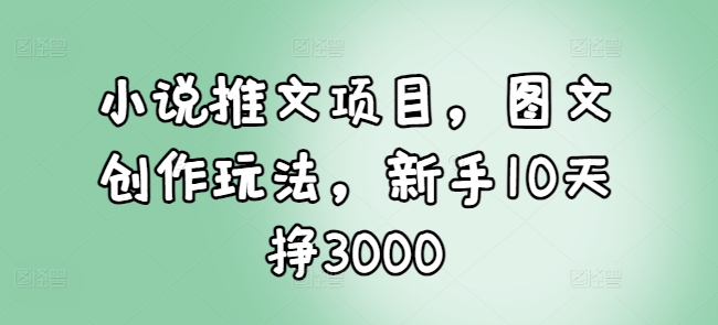 小说推文项目，图文创作玩法，新手10天挣3000-58创网