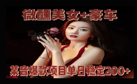 微醺美女+豪车，抖音爆款项目单日稳定2张+-58创网