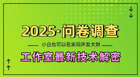 2025问卷调查最新工作室技术解密：一个人在家也可以闷声发大财，小白一天2张，可矩阵放大【揭秘】-58创网