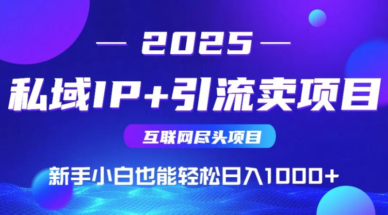 私域IP+卖项目，普通人小白也能轻松实现日入1000+-58创网