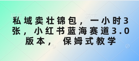 私域卖壮锦包，一小时3张，小红书蓝海赛道3.0版本， 保姆式教学-58创网