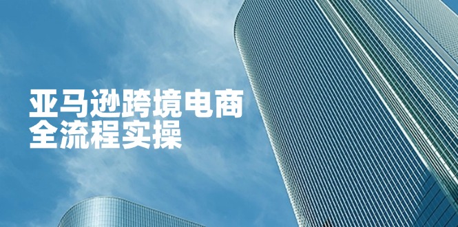 亚马逊跨境电商全流程实操，教你从零开始，掌握店铺运营与广告技巧-58创网