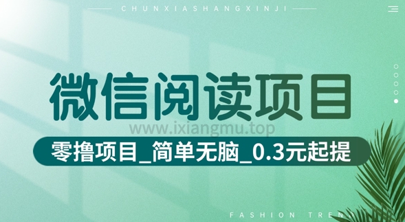 微信阅读项目_零撸项目+简单无脑+0.3元起提(六大平台合集汇总)-58创网