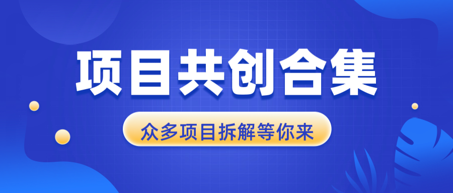 项目共创合集，从0-1全过程拆解，让你迅速找到适合自已的项目-58创网
