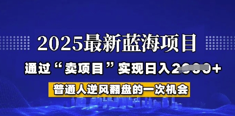 2025年首次揭秘如何通过“网创项目”日入多张【揭秘】-58创网