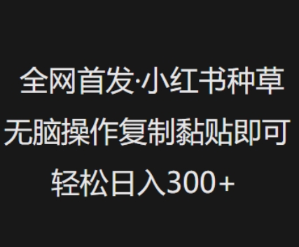 全网首发，小红书种草无脑操作，复制黏贴即可，轻松日入3张-58创网