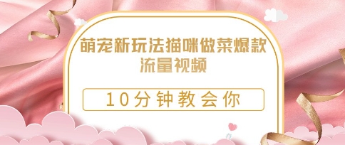 萌宠新玩法猫咪做菜爆款流量视频，10分钟教会你-58创网