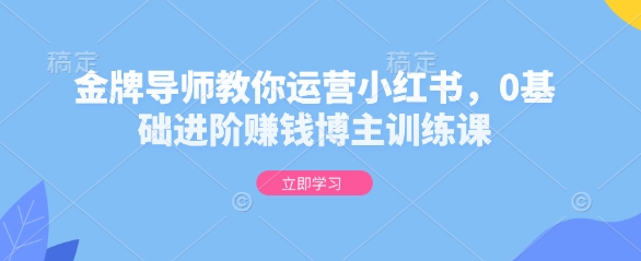金牌导师教你运营小红书，0基础进阶赚钱博主训练课-58创网