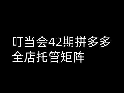 叮当会拼多多打爆班原创高阶技术第42期，拼多多全店托管矩阵-58创网