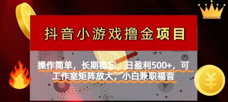 【抖音小游戏发行人计划项目】操作简单，长期稳定，日盈利500+，可工作…-58创网
