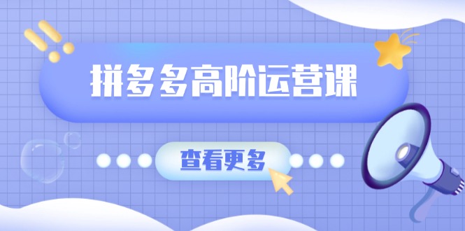 拼多多高阶运营课：极致群爆款玩法，轻付费无尽复制，打造单品爆款之路-58创网