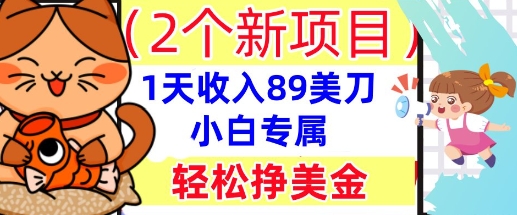 2个新项目，轻松挣美金， 1天收入89美刀，小白专属，干货分享-58创网
