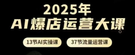 2025年AI爆店运营大课，13节AI实操课+37节流量运营课-58创网