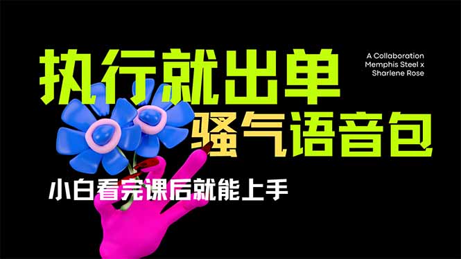 爆火全网的开车导航骚气语音包,只要执行就出单，小白看完课程就能实操…-58创网