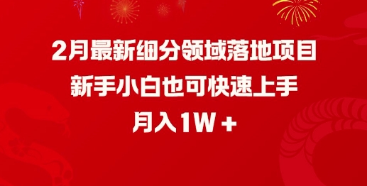 2月最新细分领域落地项目，新手小白也可快速上手，月入1W-58创网