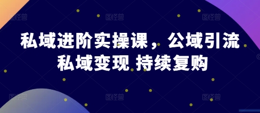 私域进阶实操课，公域引流 私域变现 持续复购-58创网