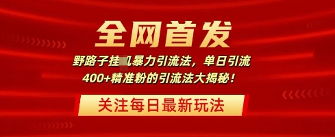 全网首发，野路子暴力引流法，单日引流400+精准粉的引流法大揭秘-58创网