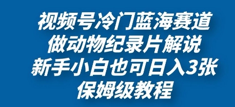 视频号冷门蓝海赛道，做动物纪录片解说，新手小白也日入3张，保姆级教程-58创网