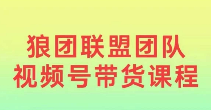狼团联盟2024视频号带货，0基础小白快速入局视频号-58创网