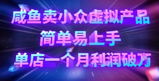 咸鱼卖小众虚拟产品，简单易上手，单店一个月利润破W-58创网