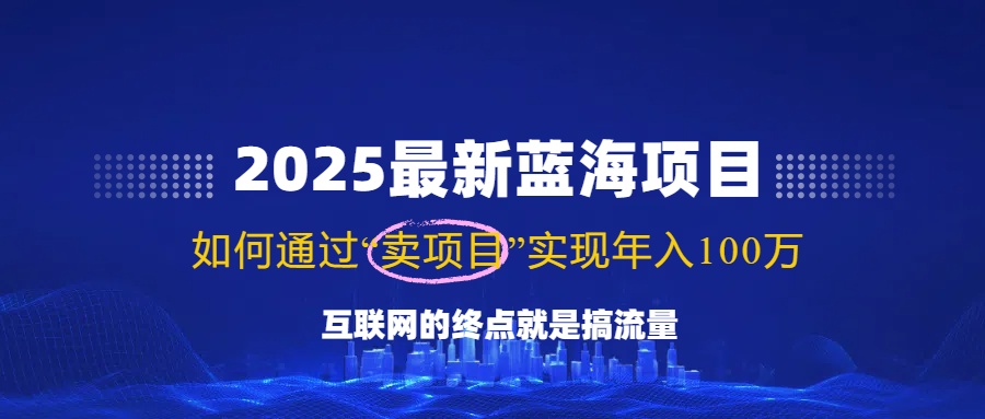2025最新蓝海项目，零门槛轻松复制，月入10万+，新手也能操作！-58创网