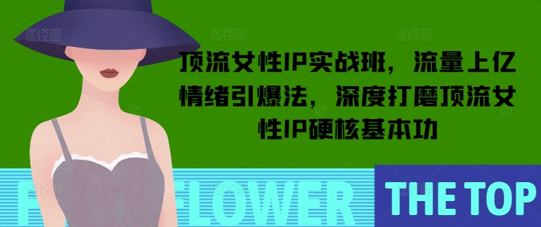 顶流女性IP实战班，流量上亿情绪引爆法，深度打磨顶流女性IP硬核基本功-58创网