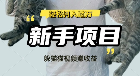 利用老外躲猫猫大赛视频，挣分成收益，操作简单，新手小白，轻松月入过W-58创网