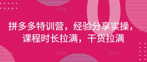 拼多多特训营，经验分享实操，课程时长拉满，干货拉满(更新25年4月)-58创网