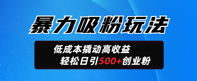 暴力吸粉玩法，日引500+精准创业粉，日变现轻松多张-58创网