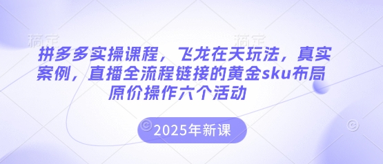 拼多多实操课程，飞龙在天玩法，真实案例，直播全流程链接的黄金sku布局原价操作六个活动-58创网
