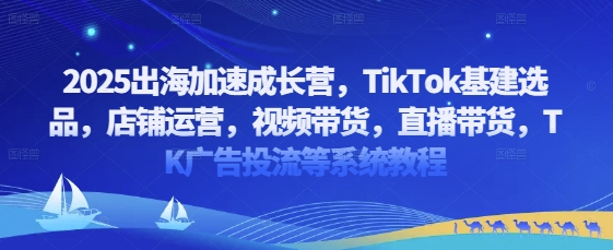 2025出海加速成长营，TikTok基建选品，店铺运营，视频带货，直播带货，TK广告投流等系统教程-58创网