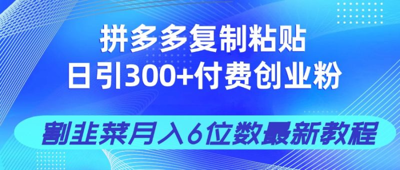 拼多多复制粘贴日引300+付费创业粉，割韭菜月入6位数最新教程！-58创网